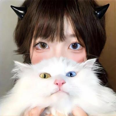 猫头鹰之森
