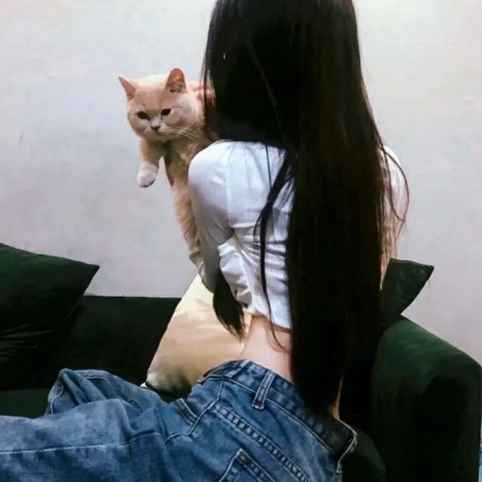 玩蛋倒数
